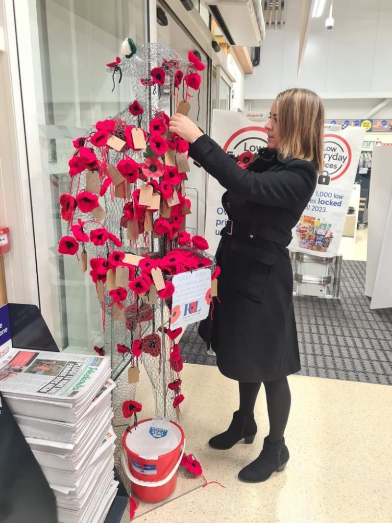 Stephanie Peacock MP decorating with poppies ahead of Remembrance Day 2022