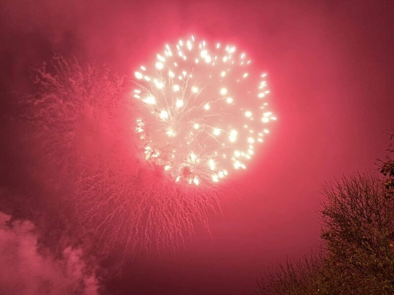 Image of a firework at Locke Park