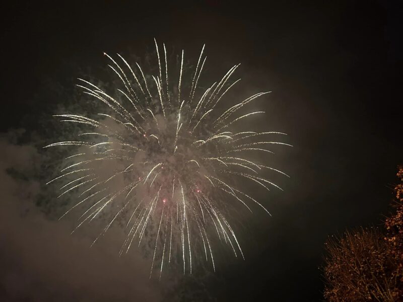 Image of a firework at Locke Park