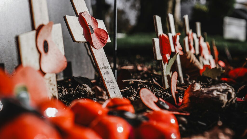Image of Remembrance crosses