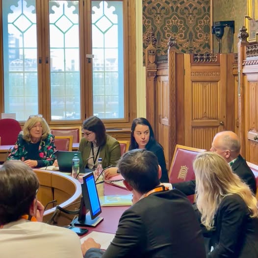 Stephanie Peacock MP speaking to the APPG for Football