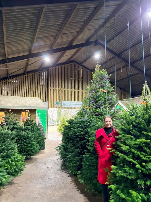 Stephanie Peacock MP at Billingley Christmas Tree Farm choosing her tree for this year